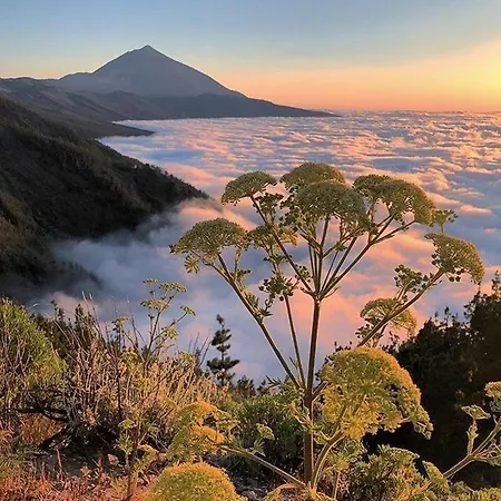 Nueva Esperanza El Cano In Sea アパート *