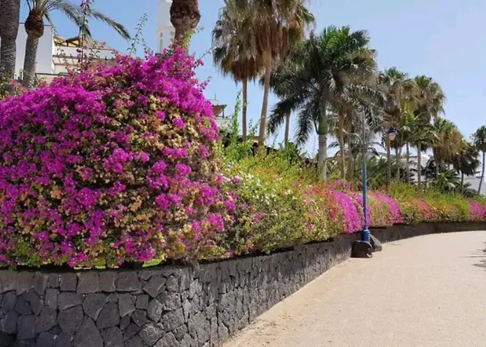 Apartman Nueva Esperanza El Cano In Sea *