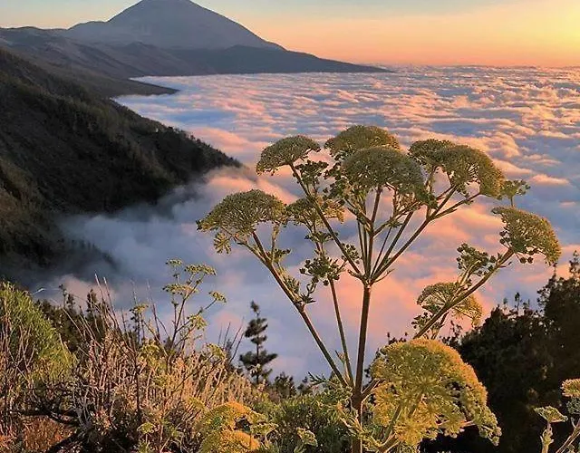 Nueva Esperanza El Cano In Sea 아파트 *