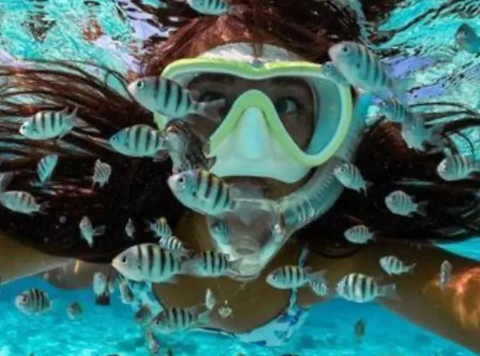 Nueva Esperanza El Cano In Sea Apartman *